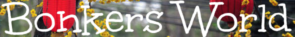 Bonkers World